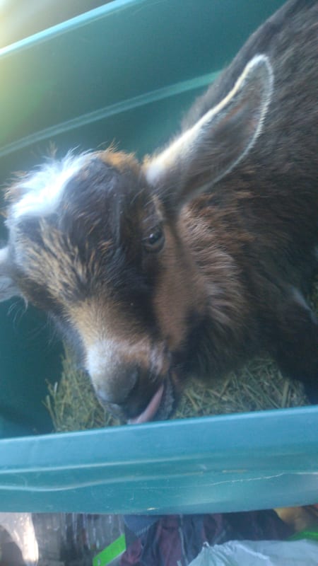 Patsy photo 6