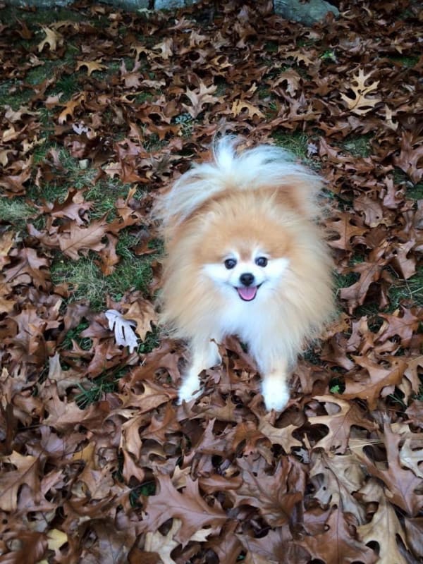 Baci photo 7