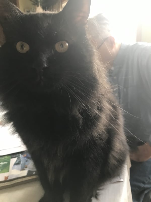 Ozzy Cayde photo 3
