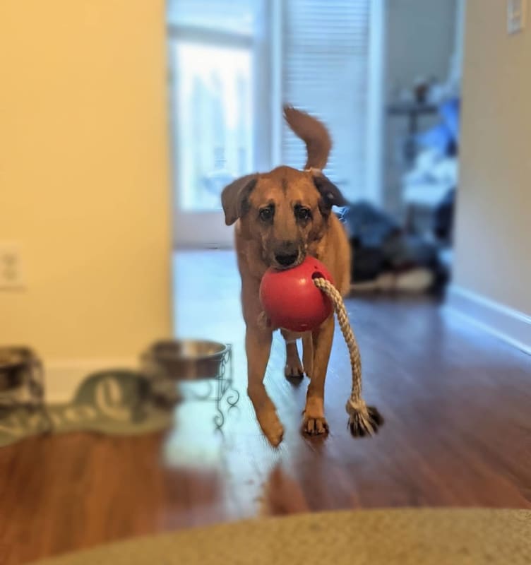 Wilson photo 9