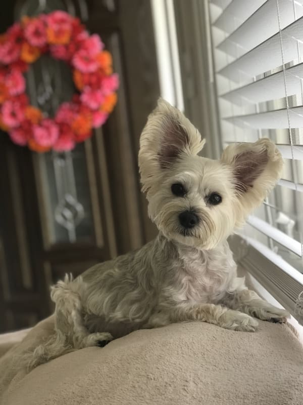 Lila photo 3