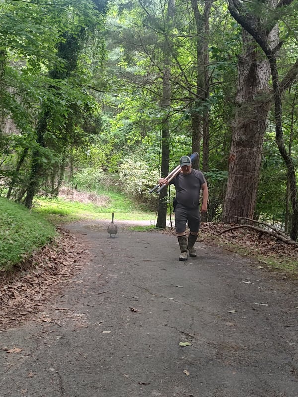 Gussie photo 3