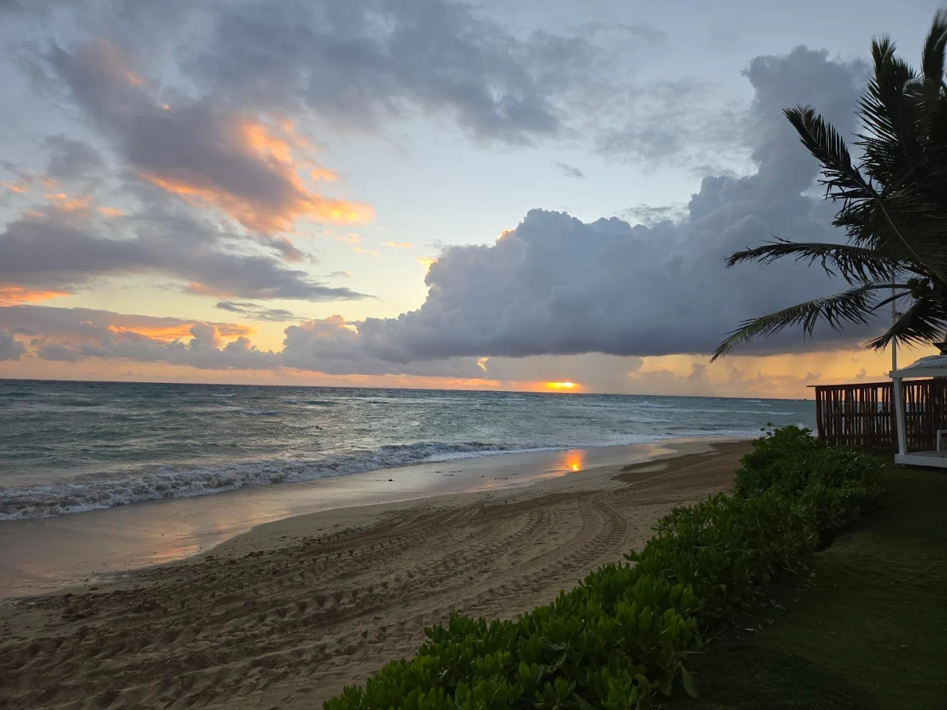 Beach Wedding at The Palms
