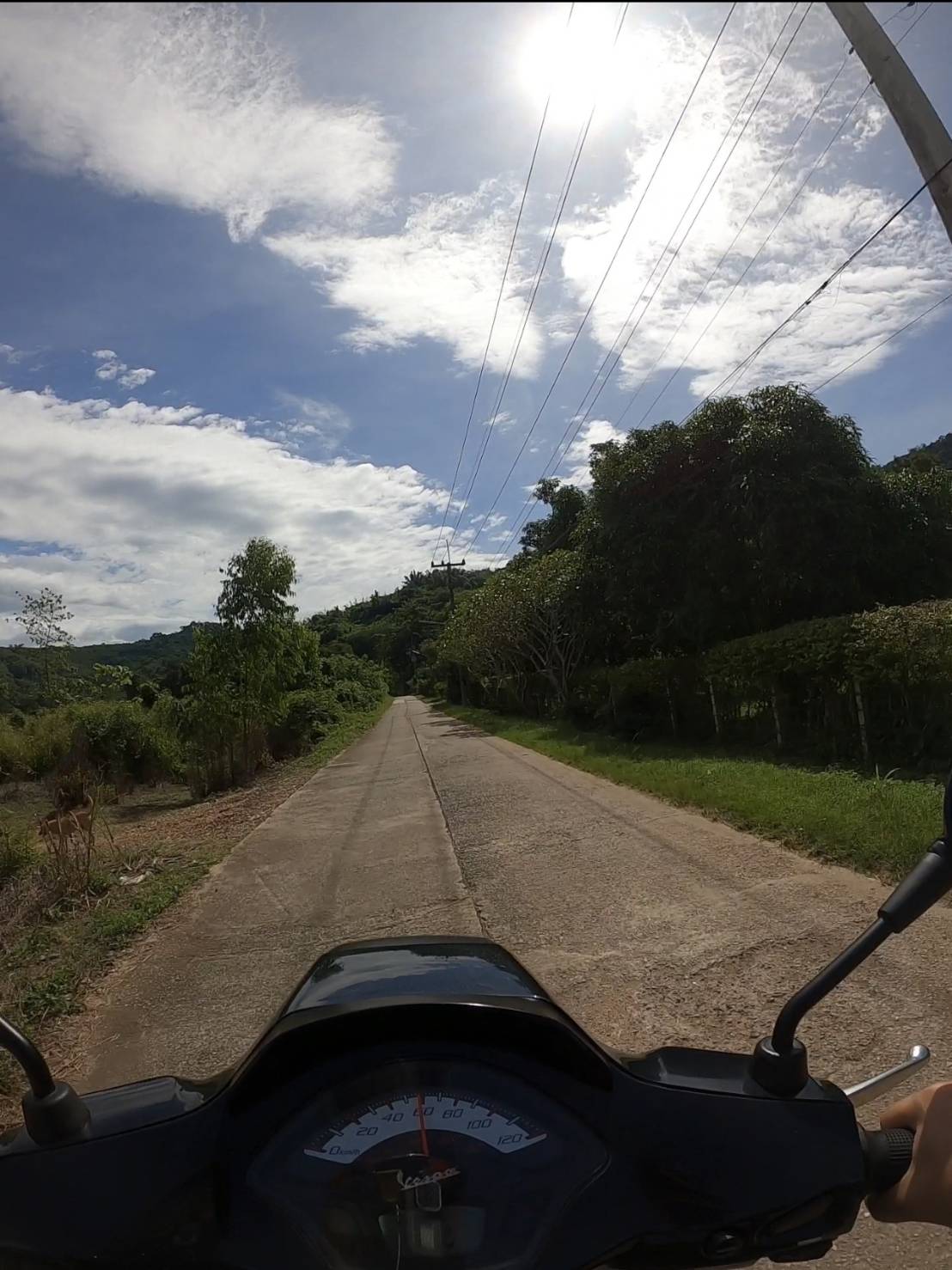 เสียงลมจากขุนเขา