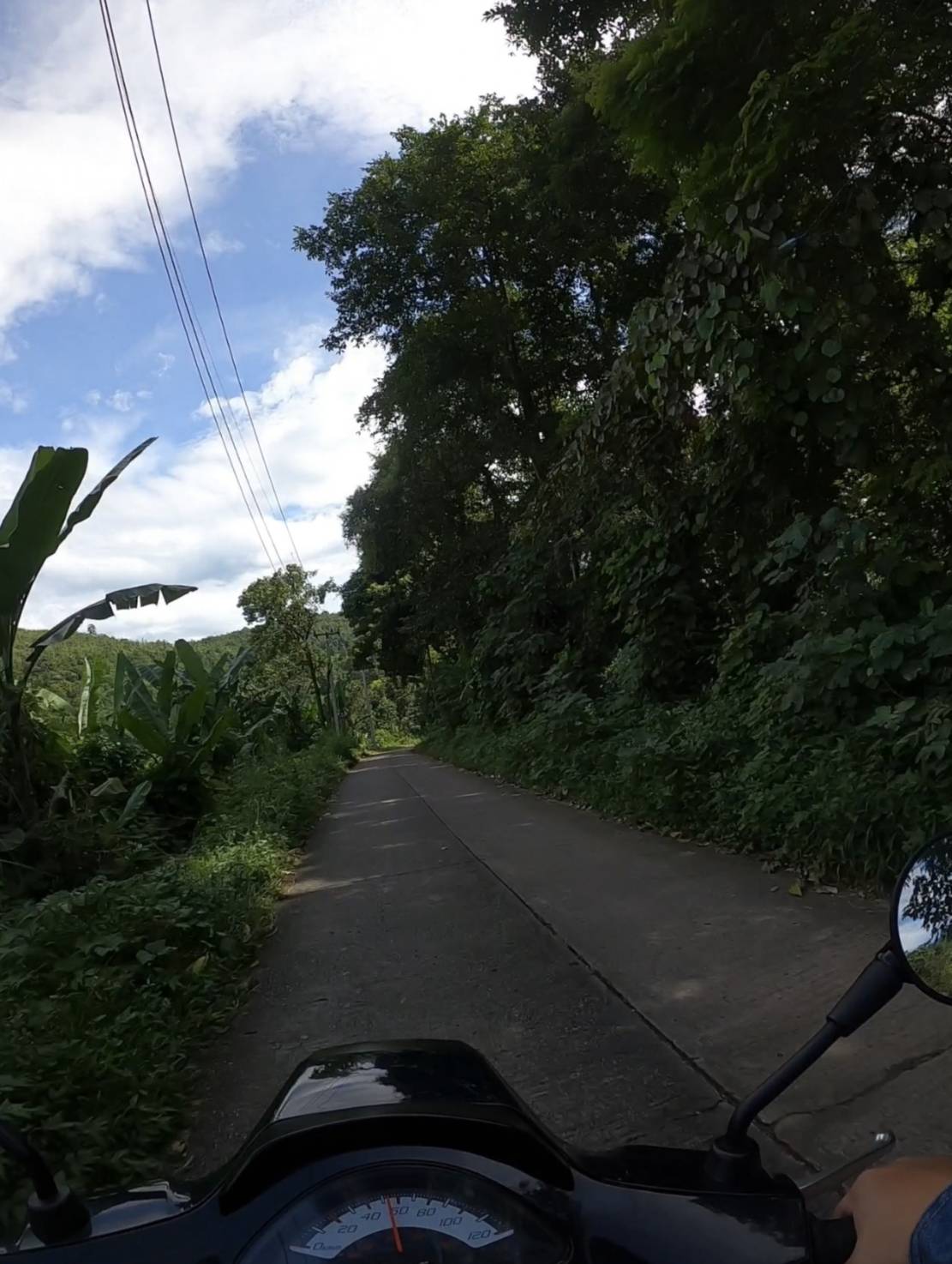 เส้นทางเล็กๆ สู่ใจกลางธรรมชาติ