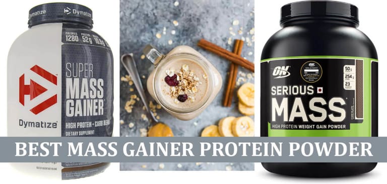 7+ Best Mass Gainer Protein Powder Shake