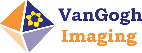 VanGogh Imaging logo