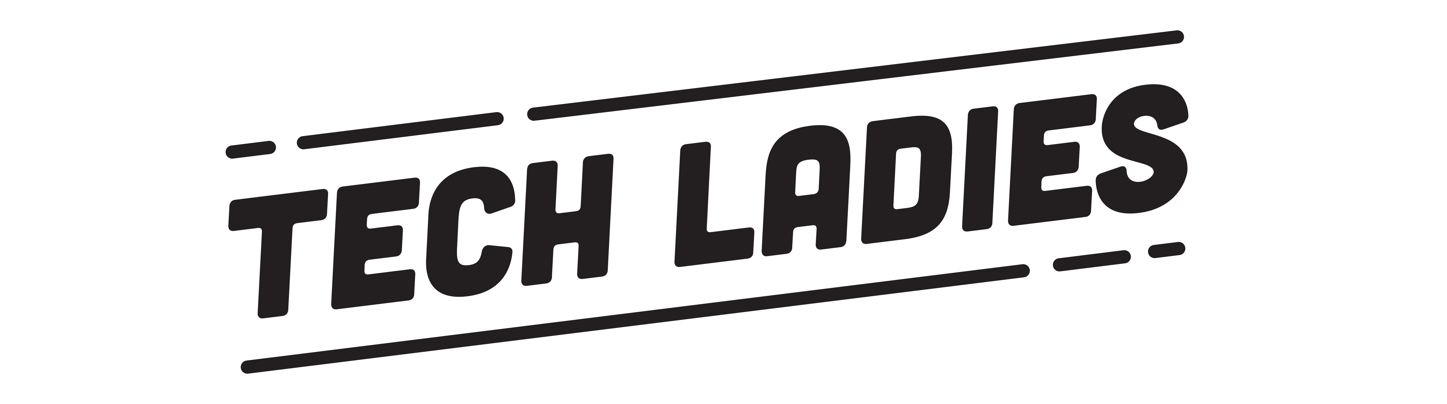 Tech Ladies logo