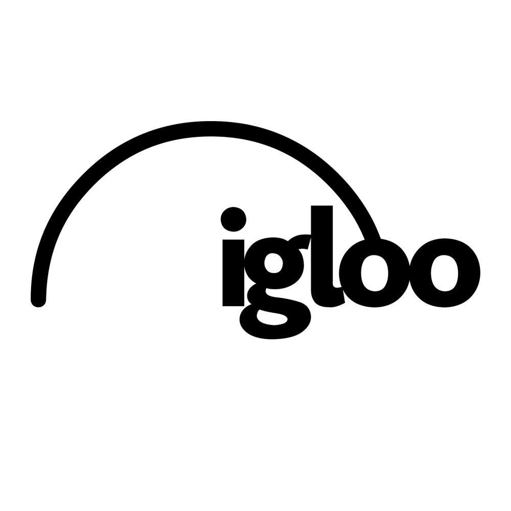 Igloo Vision logo