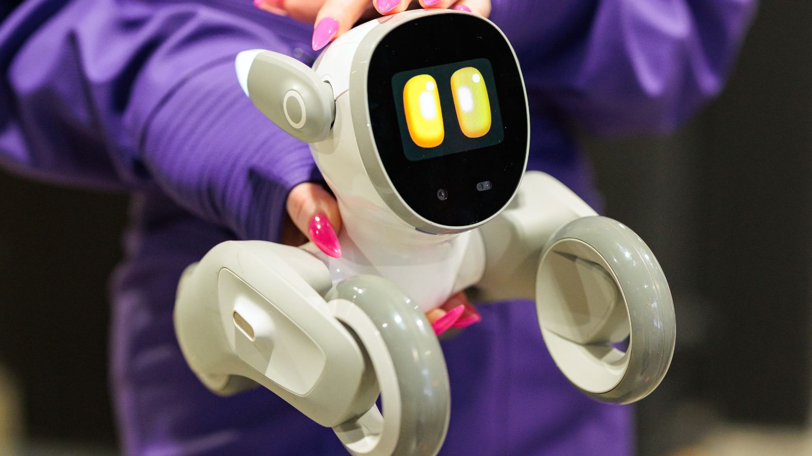 Small companion robot demonstrated at the expo