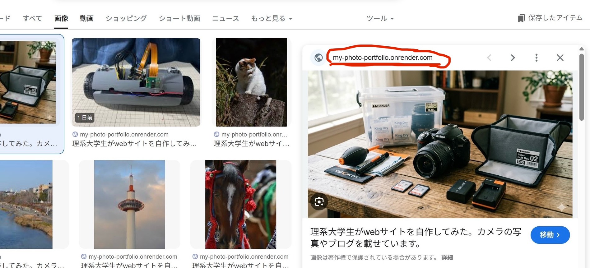 【開発記録】[render×Django]検索結果にデフォルトURLが出る問題を解決！独自ドメインへの301リダイレクトとSEO対策
