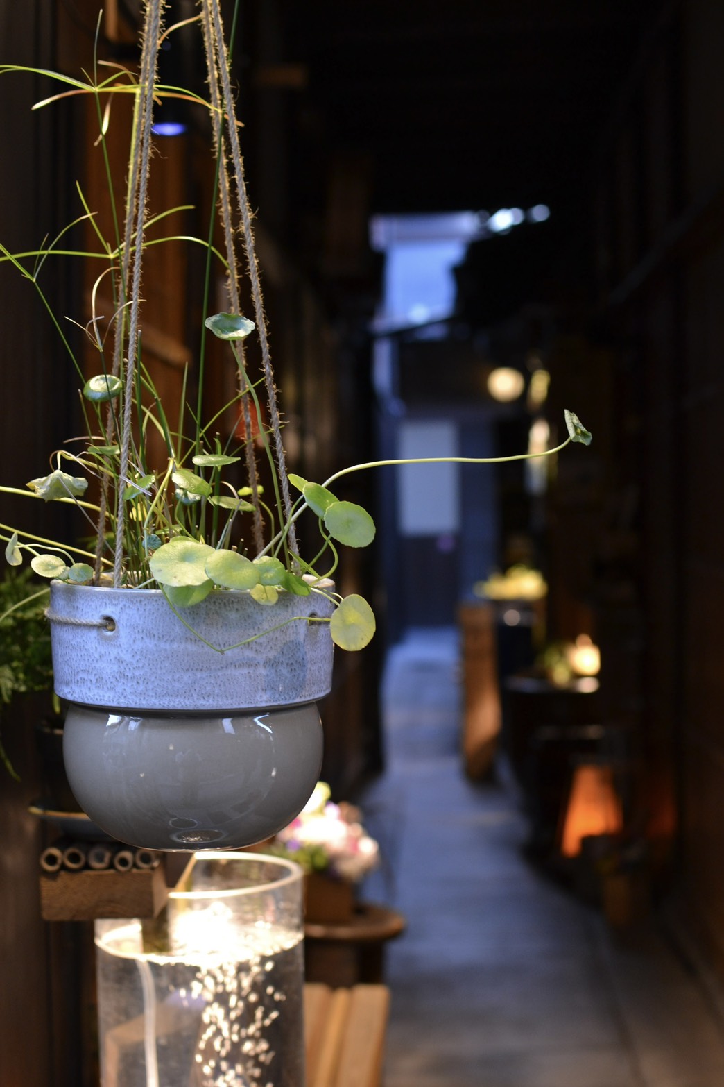 先斗町通 - Nikon D3100撮影
