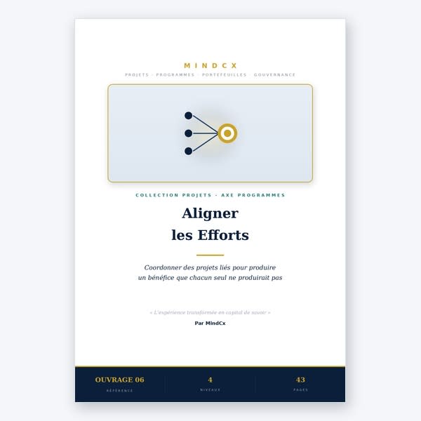 Aligner les Efforts - Coordonner des projets liés pour produire un bénéfice que chacun seul ne produirait pas