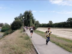 Соревнования по легкоатлетическому кроссу «Золотая осень» в Георгиевске