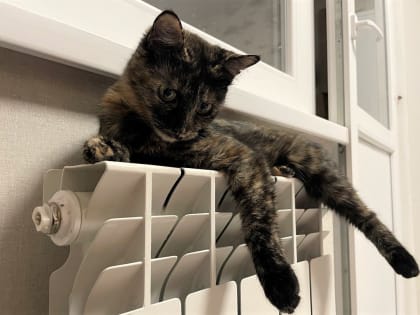 Когда закончится отопительный сезон на Ставрополье?