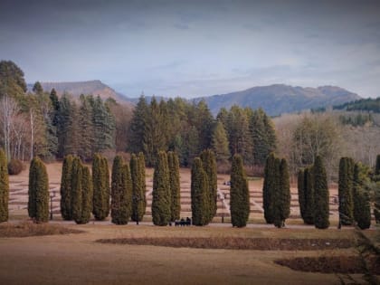 12,3 млн рублей курортного сбора за январь собрали в Кисловодске