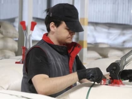 Эксперт: Экономика Ставрополья работает даже в сложных условиях