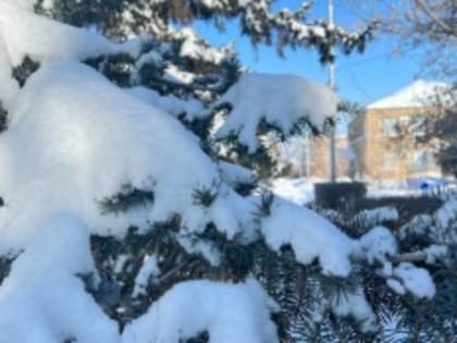 Уважаемые земляки!