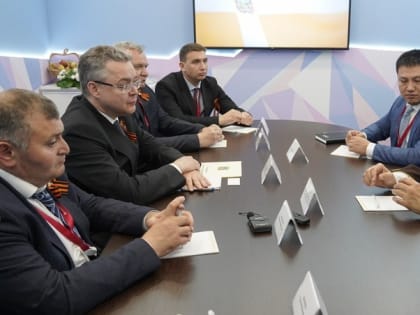 Владимир Владимиров: Ставрополье наращивает сотрудничество с Катаром