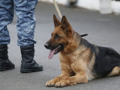 Ставропольца обвиняют в мошенничестве, под предлогом изготовления памятников