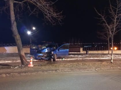 Пассажирка отечественной легковушки пострадала в ДТП с деревом на Ставрополье