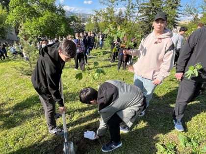  Кленовую «Аллею СВОих» высадили в Кисловодске