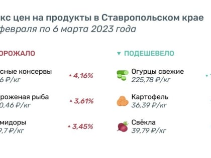 На 16% подешевели огурцы на Ставрополье за прошедшую неделю