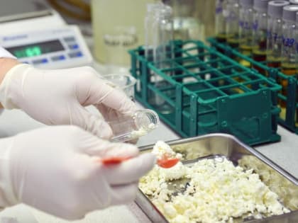 Фальсифицированные масло и творог прекратили выпускать на Ставрополье после решения суда