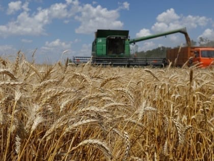 Более 8,2 млн тонн зерна собрали аграрии на Ставрополье