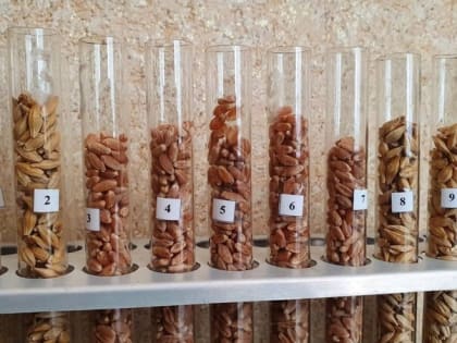 Депутаты Ставрополья обсудили сельское хозяйство и законопроекты о тишине и алкоголе