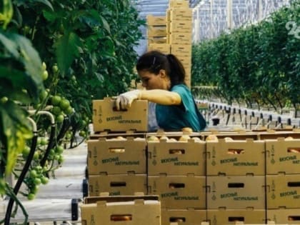 В 31 округе Ставрополья в 2022 году выросло количество предпринимателей и самозанятых