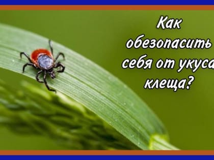 Главное управление МЧС России по Ставропольскому краю рекомендует соблюдать меры по защите от клещей