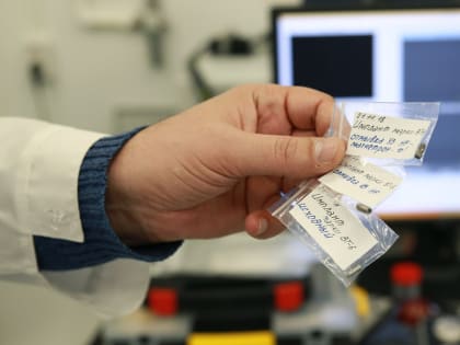 Импортозамещение в медицине: ставропольские ученые разрабатывают имплантат из отечественных материалов