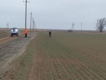 В округе продолжается  борьба с вредителями - мышевидными грызунами