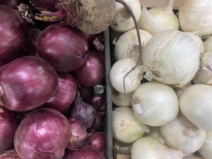 За месяц на Ставрополье подешевела гречка и подорожал лук