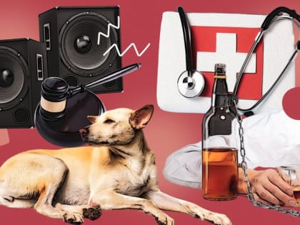 Поддержка участников спецоперации в Ставрополье: новый взгляд на заботу о ветеранах