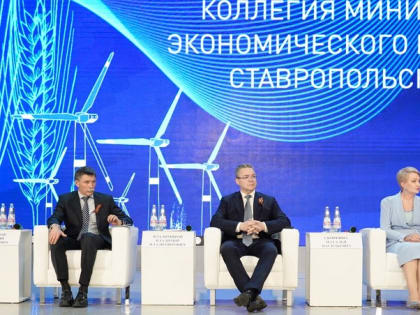 Ставрополье стало лидером по объёму реализации прорывных проектов в СКФО