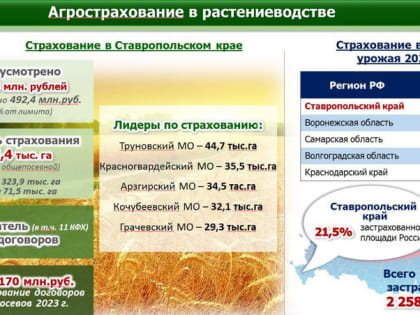 Ставропольский край стал лидером в России по объёмам агрострахования урожая-2022
