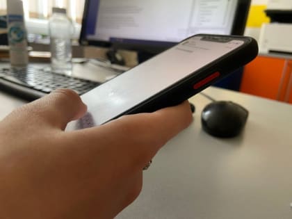 Товарооборот производителей Ставрополья на маркетплейсах достиг 28 млрд рублей