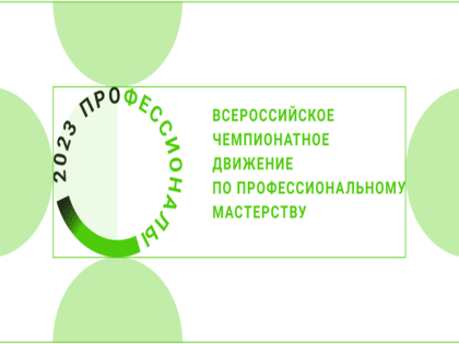 Регионального Чемпионата по профессиональному мастерству «Профессионалы»