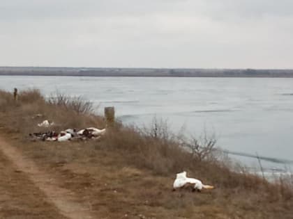 Обзор происшествий в Ставропольском крае 08.02.2023