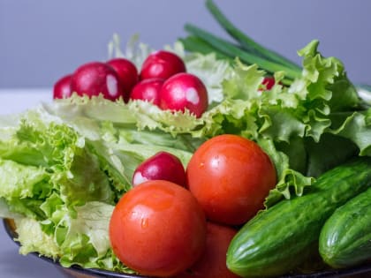 Ставропольцы приобретут на ярмарках выходного дня все для  весеннего салата