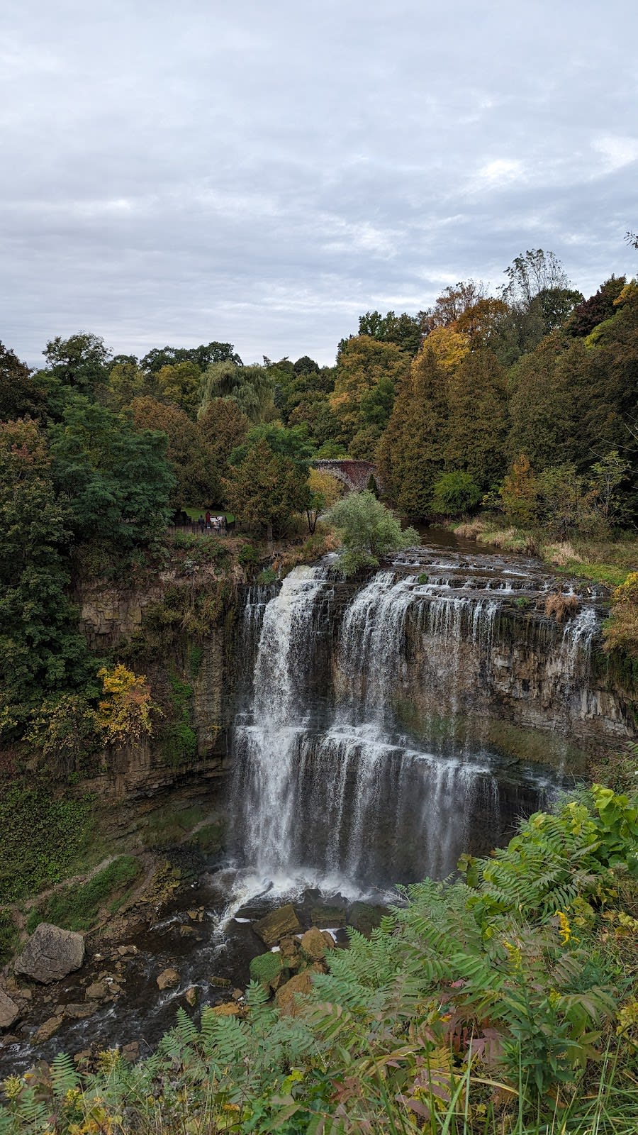 Webster Falls (Reservations Required)