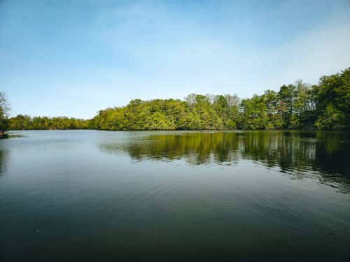 Sharon Creek Conservation Area