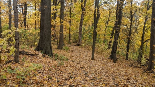 Hiking Trail