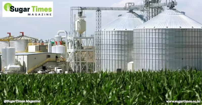 Sugar Industry Disappointed with Budget: Output Rises, No Relief on MSP or Ethanol Prices, Cane Dues Mount