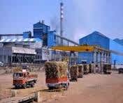 उत्तर प्रदेश: बरेली में पेराई सीजन अंतिम चरण में पहुंचा, चार चीनी मिलें फरवरी में हो जाएंगी बंद