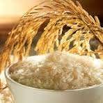 Government likely to reduce sale price of FCI rice for ethanol production; may allow sugar export