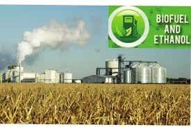 Ethanol boost: Bamboo park to come up in Meghalaya’s Ri-Bhoi