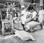 गन्ना तौल: कर्नाटक सरकार ने पारदर्शिता और निष्पक्षता सुनिश्चित करने के लिए कदम उठाए